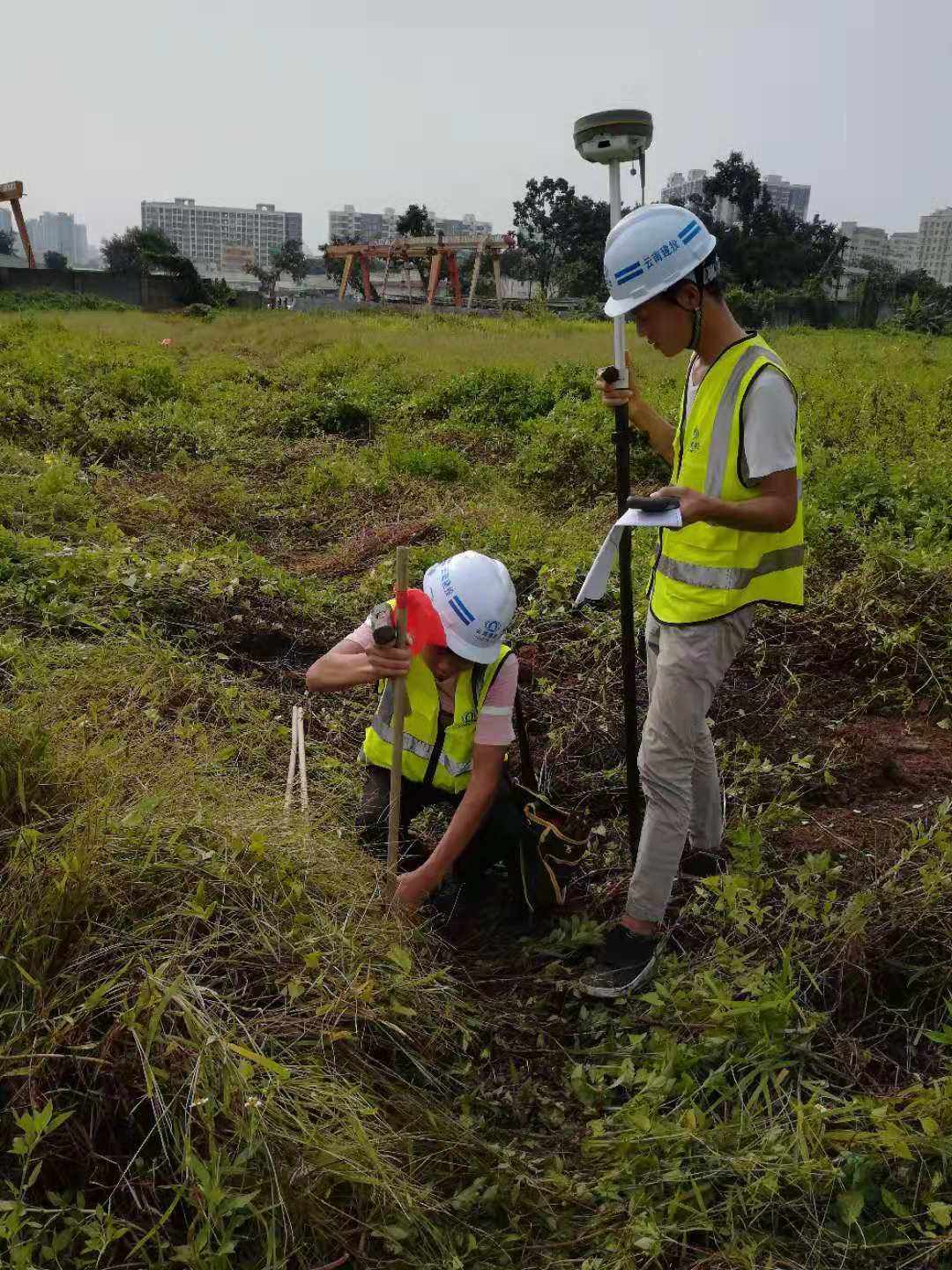 公路放样手机版rtk公路放样教程-第1张图片-太平洋在线下载
