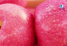 root大师苹果版root大师电脑版下载-第2张图片-太平洋在线下载