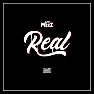 调用客户端REAL手机版realplayer