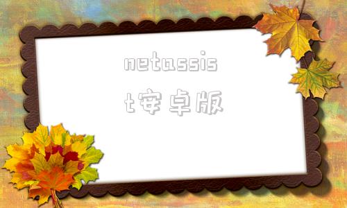 netassist安卓版谷歌assistant安卓版