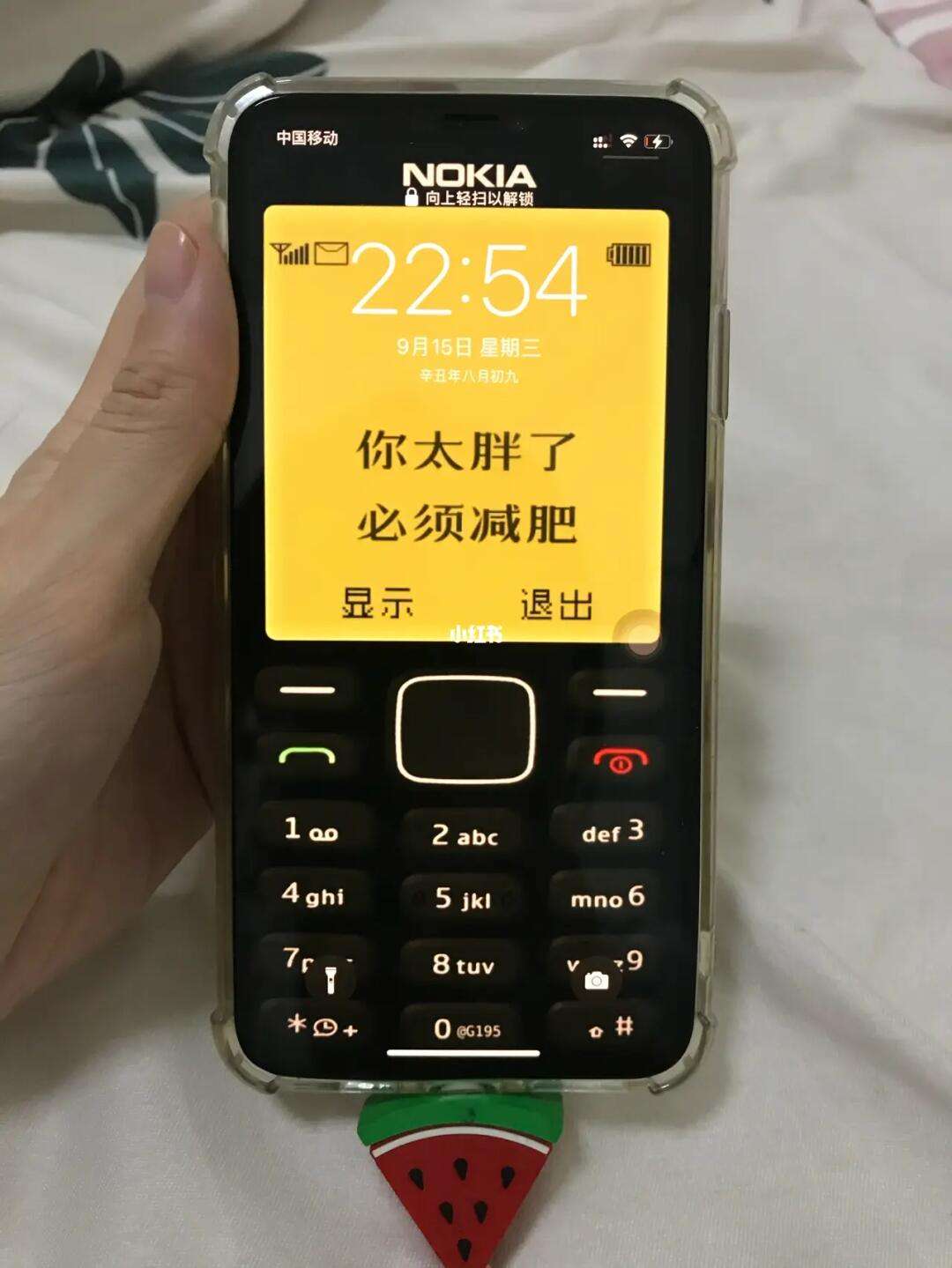 手机的名称搞笑版手机设备名称大全搞笑-第1张图片-太平洋在线下载