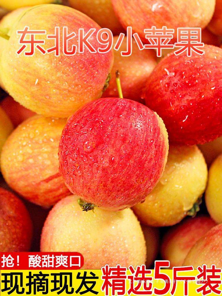 小苹果红色版苹果ios18正式版9月17日更新