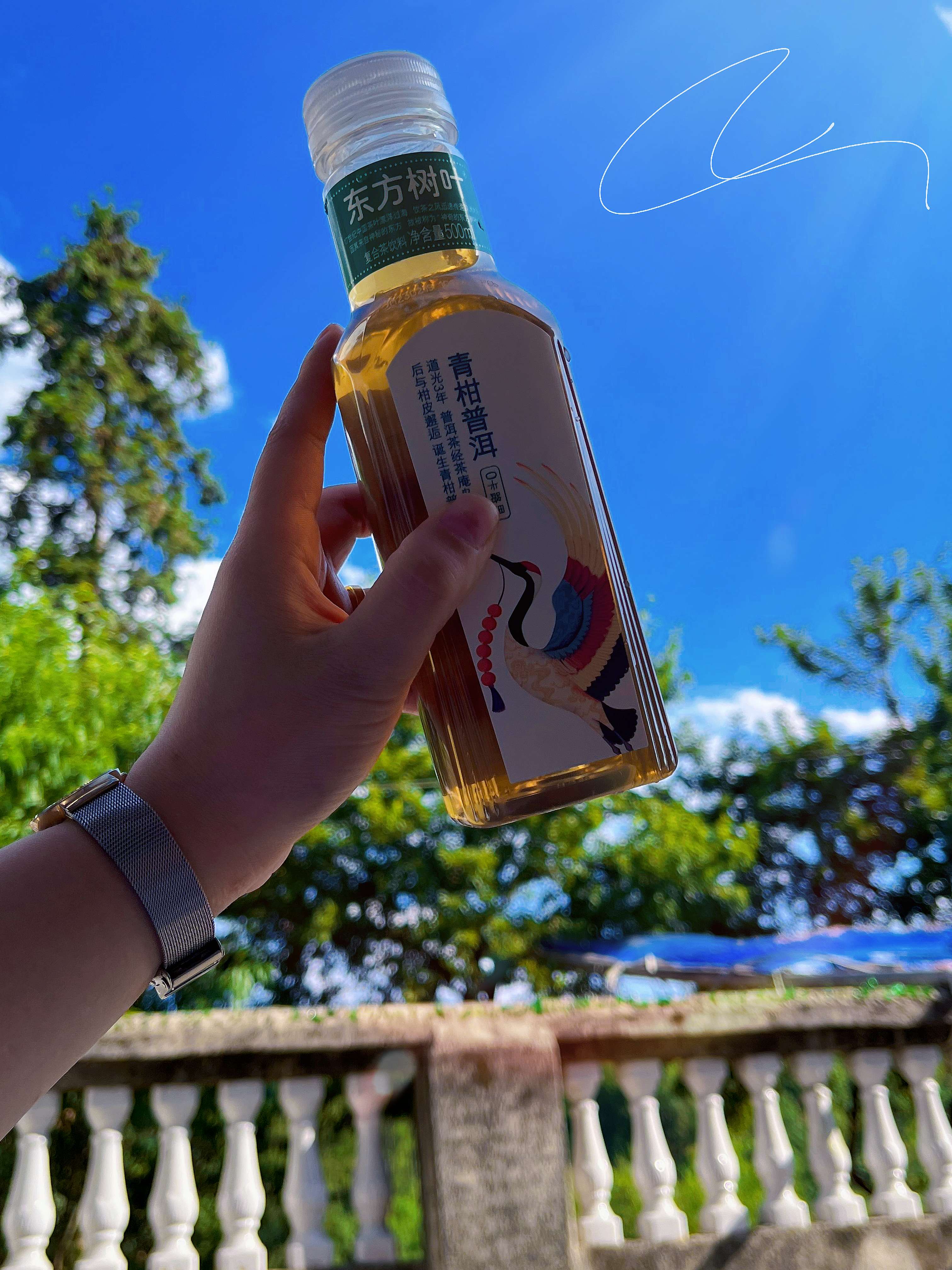 没有vip的客户端没有vip的软件下载