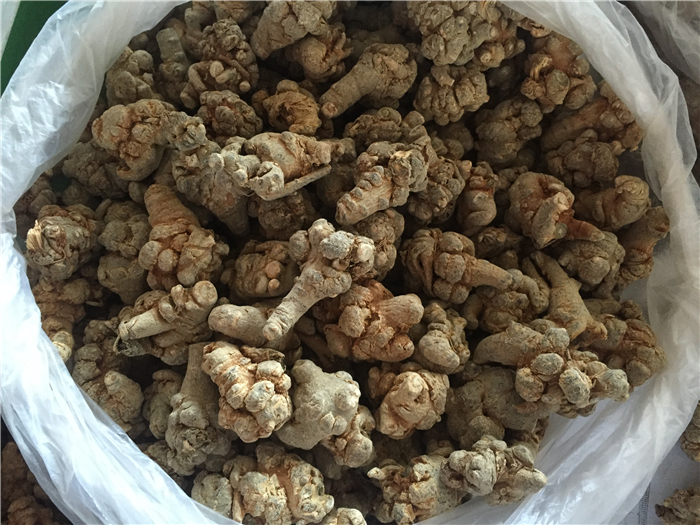三七客户端安全不三七机大型游戏机哪里有