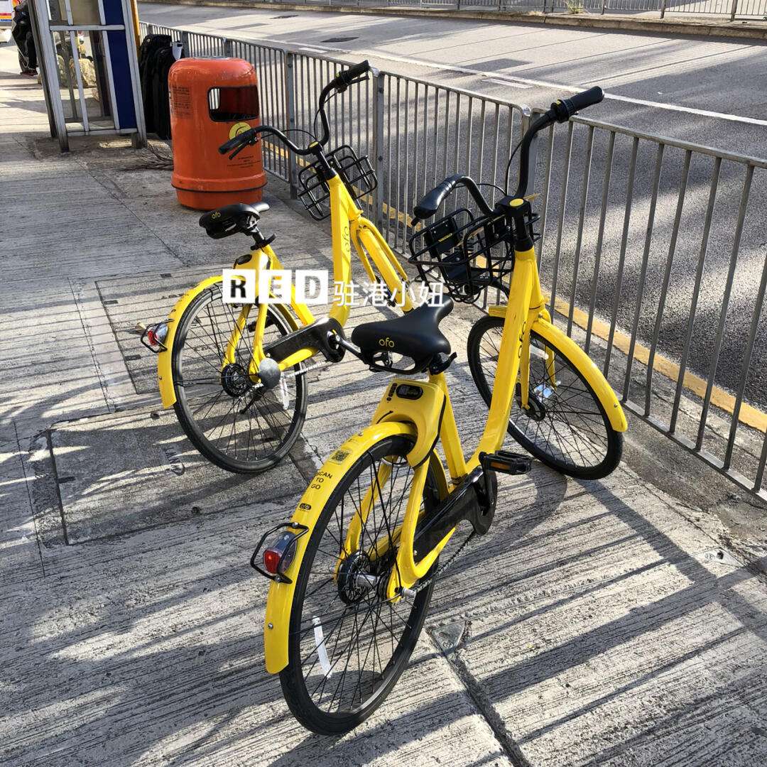 ofo香港客户端ofo官网首页入口-第2张图片-太平洋在线下载